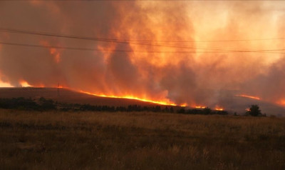 Степной пожар в Дубовском районе